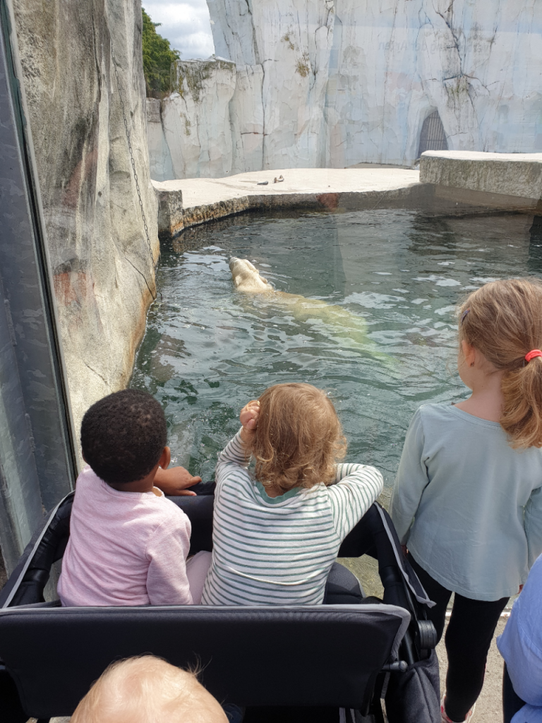 Kinder beobachten einen schwimmenden Eisbären