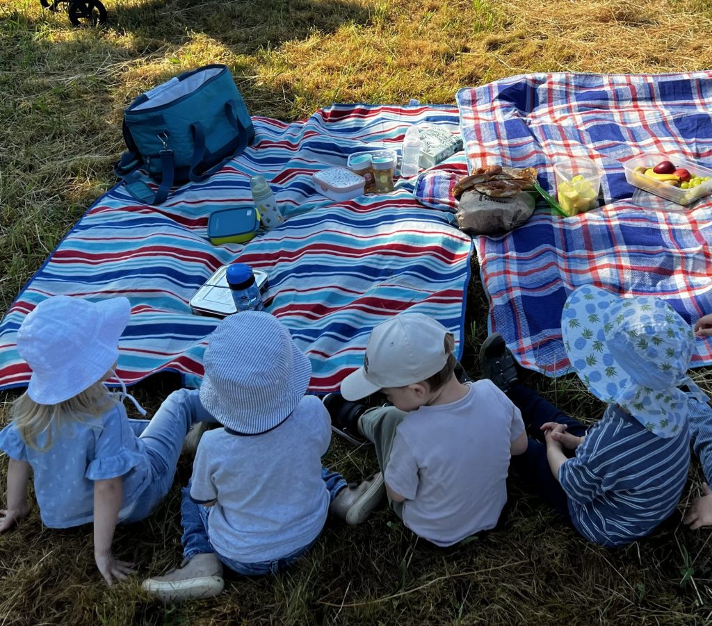 Kinder sitzen vor einer Picknickdecke und blicken ins Gründe. Auf der Picknickdecke sind Dosen mit Obst